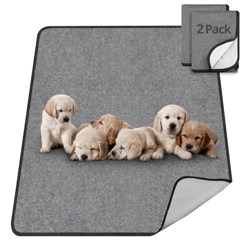 TAIKURA Waschbar Haustier-Urinunterlage, 2er 70*100CM Hundetrainingspad super Saugfähig, rutschfest & Auslaufsicher, Wiederverwendbare Trainingsunterlagen Puppy Pads für Hunde Katzen andere Haustiere