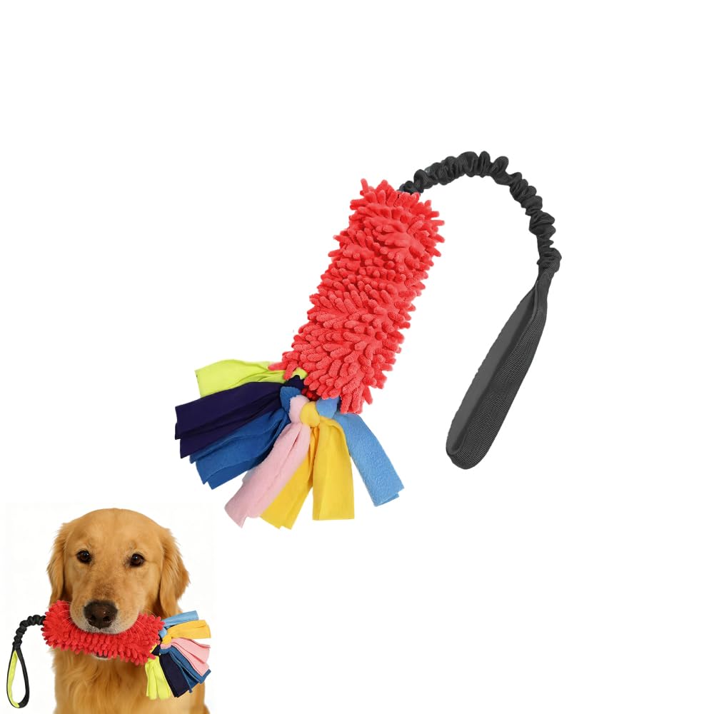 CARPJZ Dog Rope Toy with Squeaker, Colourful Tug for Retrieve Interactive Play with Elastic Bungee Handle, Chew Resistant for Boredom Buster
