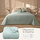 Gräfenstayn Premium Tagesdecke 170x210 cm – Bettüberwurf mit Nahtloser Steppung & Blatt-Design – Samt-Decke – weich, knitterfrei & pflegeleicht – Überwurf für Bett & Sofa (mintgrün)