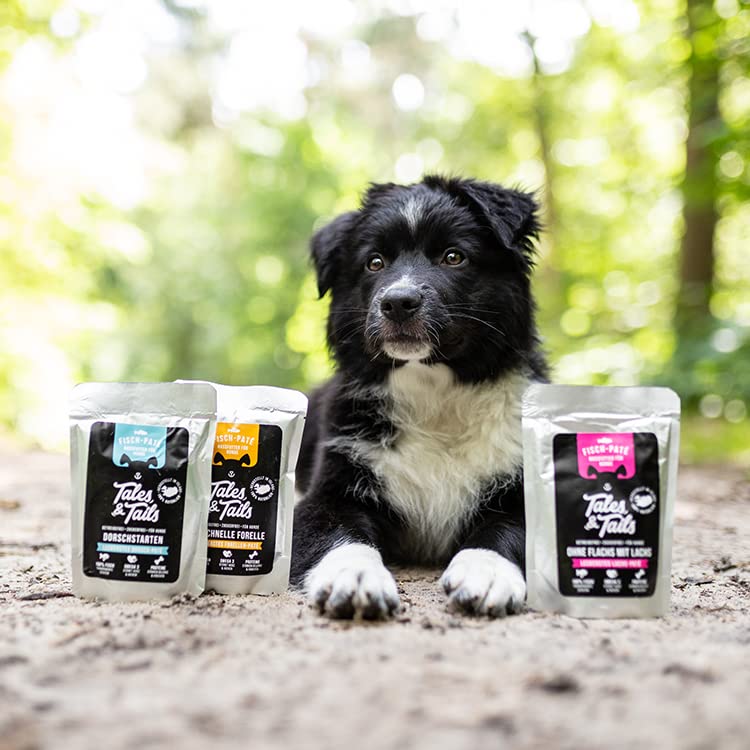 Tales & Tails® - Nassfutter für Hunde aus 100% isländischem Dorsch | Getreidefreies Hundefutter, Natürlich, Nährstoffreich, Zuckerfrei | Hundenassfutter „Dorschstarten“| 30x 300g