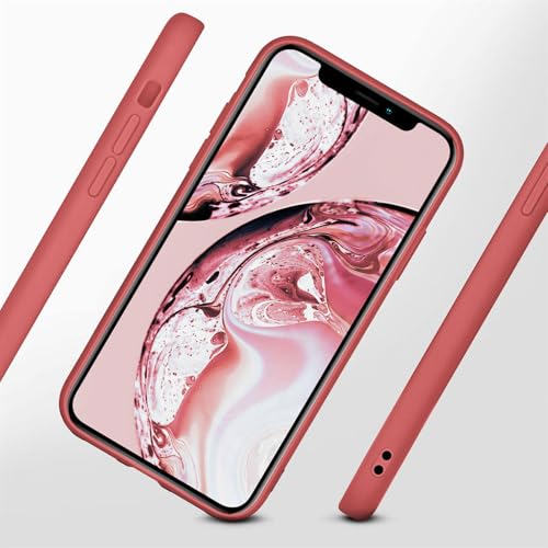 Coque silicone iPhone X protection souple double couche - 2