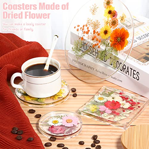 100 Flores Secas Prensadas para Manualidades DIY miniatura 3