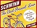 Schwinn: The Best Present Ever