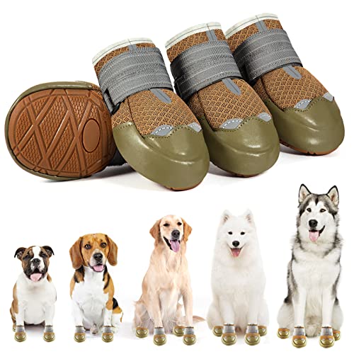 Best Hiking Shoes For Dogs 2023 Bookonboard