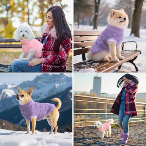 Pulls en polaire pour chien évitant les frissons des petits animaux