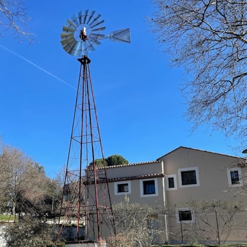 Escribano palustre - Apuesta rural - 16/03/26