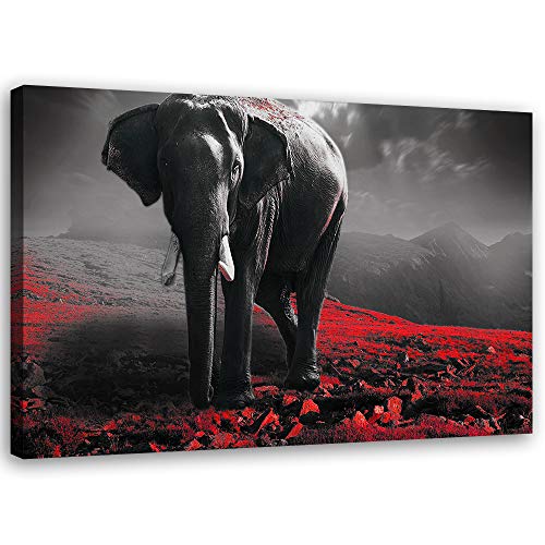 Tableau sur toile éléphant rouge Feeby pour créer une ambiance salon moderne