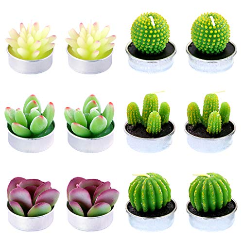Bougies cactus succulentes Swpeet pour une décoration de table de mariage naturelle et verte