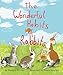 The Wonderful Habits of Rabbits