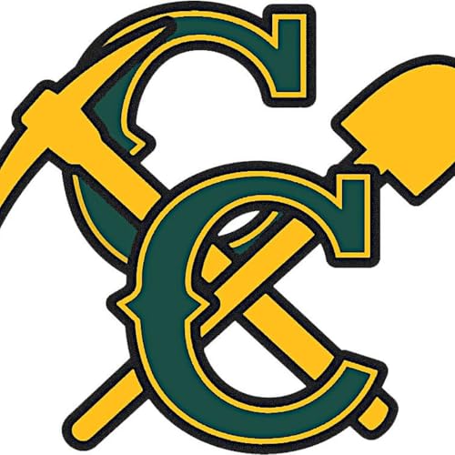 Four area wrestlers advance to championship matches at IHSA State Finals: Friday&rsquo;s Daily Journal roundup