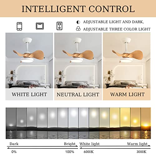 Lampadario con Ventilatore da Soffitto LED