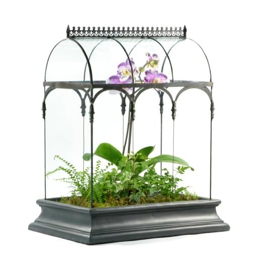 Terrarium Large Glass Succulent Planter Wardian Case Container for Plants from H Potter WAR150