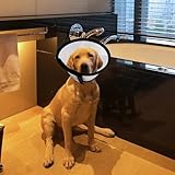 Zoom IMG-1 collare elisabettiano per cani anti Zoom IMG-1 collare elisabettiano per cani anti