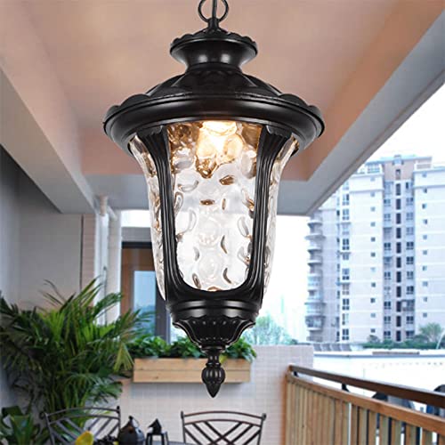 Luminaire suspendu d'extérieur noir lanterne en verre à graines 1 lumière
