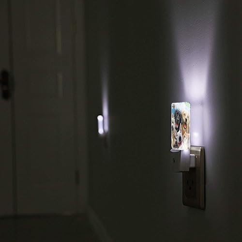 Miniatura 6 de Linda luz nocturna para perros con enchufe decorativo de pared con sensor inteligente automático del atardecer al amanecer, lámpara de noche LED