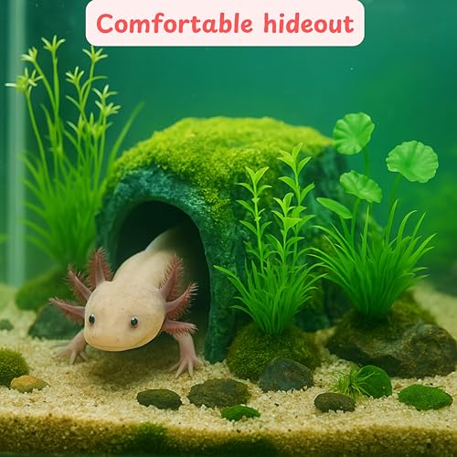 Image of Axolotl Hides for Aquarium with Feeding Dish and Fake Plants Set, Axolotl Cave with Green Plants, Aquarium Decor, Fish Tank Decorations, Turtle Tank Accessories (Cave+Plant+Feeding Dish, L)