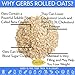 Gerbs Gluten-Free Traditional Rolled Oats 2 lbs. | Premium Grade, Resealable Bag | Hearty Texture, Ideal for Baking & Breakfast | Top 14 Allergen-Free
