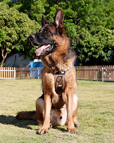 Image of Petnanny Tactical Dog Harness Service Vest for Large Dogs XL Khaki | Service dog vest with hook loop panel, MOLLE, handle, no pull design for K9 training & daily walks, ideal no pull harness