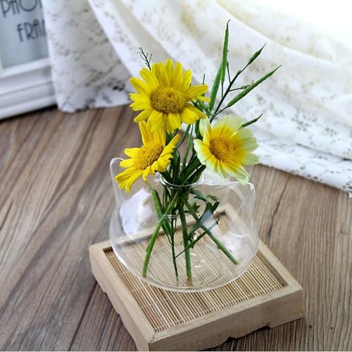 Vase à fleurs de chat et pot de propagation transparent pour plantes