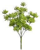 SMPLY. - Planta Artificial deMata Crasa - Altura: 30 cm- De Plástico -Decoración Ideal en el Interior y Exterior de Casa