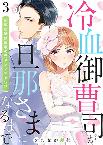 冷血御曹司が旦那さまになるまで~新郎新婦は宿敵の元ヤン×元ヤン!?~3 (comic donna)