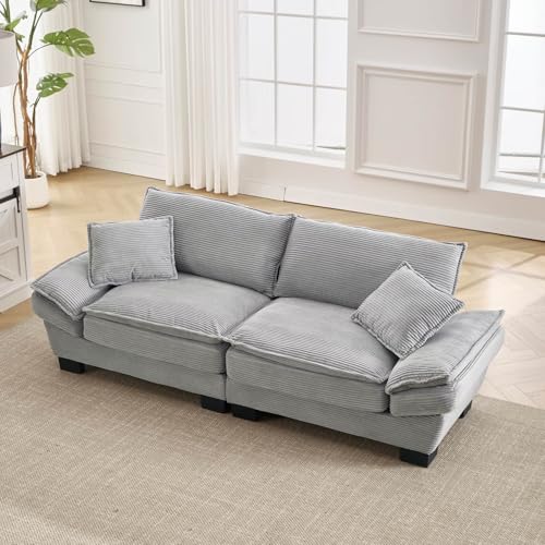 EURHCIO Canapé 2 Places en Velours,Canapé Salon avec 2 Coussins,Fauteuil 2 Places,Moderne et Minimaliste,pour Chambre Salon Bureau,224x81x81cm (Gris Clair)