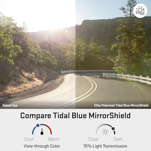 Image of Revant Replacement Lenses for Oakley Valve OO9236 Sunglasses