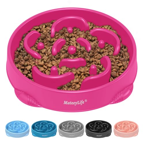MateeyLife, Ciotole grandi per cani con alimentazione lenta, anti-soffocamento, antiscivolo, interattivo, mangiare, mangiare lentamente, per labirinto per razze grandi, 4 tazze, viola