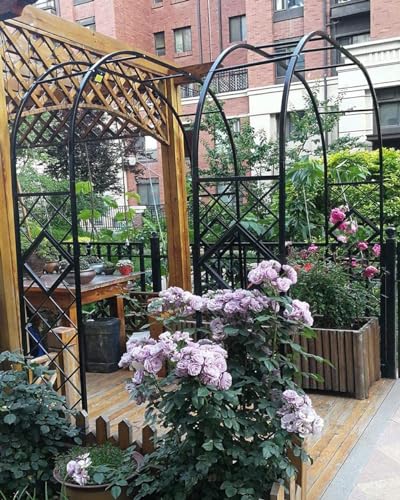 Arche de jardin en acier noir de 2,7 m pour sublimer vos allées de roses - 3