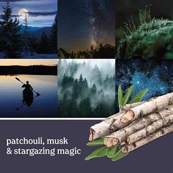 Yankee Candle ScentPlug Refill for Plug in Air Fresheners, Scented Oil Refills, Long Lasting Home Fragrance, Midsummers Night (Pack of 4)