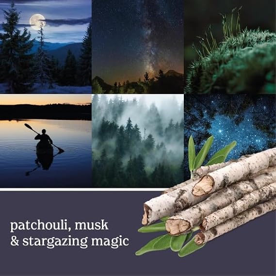 Yankee Candle ScentPlug Refill for Plug in Air Fresheners, Scented Oil Refills, Long Lasting Home Fragrance, Midsummers Night (Pack of 4)