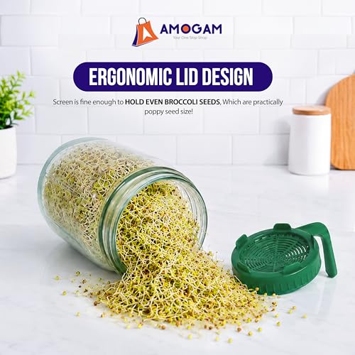 Image of Sprouts Maker Glass Jar - 950ml Large Sprouts Maker Jar for Home Use | BPA-Free Sprouting Jar with Drain Lid Handle | Reusable Glass Sprout Maker Jar for All Seeds and Beans (Green - 2pcs)