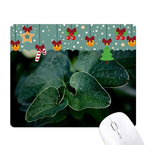 Tapis de souris en jeu plante à feuilles sombres photo nature de noël