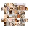 Muur collage kit esthetische afbeeldingen, 50 stuks esthetische foto kunst kamer decor, indie kamer decor estheticr voor…