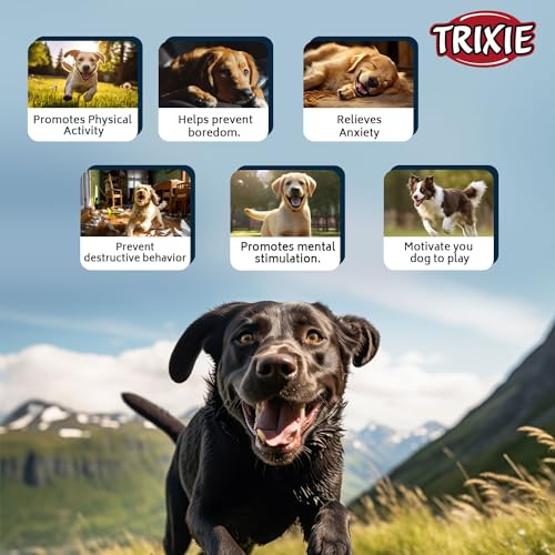 Trixie Hundespielzeug Ente aus Plüsch