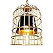 Produktbild A-Lnice Kronleuchter Industrie Gang Treppe Balkon Kreative Lampen Loft Retro Restaurant Bar Schmiedeeisen Vogelkäfig Kronleuchter Lampen 30 * 40 cm