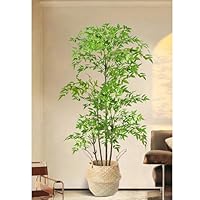大型 フェイクグリーン 人工観葉植物 人工植物 鮮やかな色 180cm 51HtG1fn7SL._SS200_.jpg