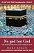 No god but God (Updated Edition): The Origins, Evolution, and Future of Islam