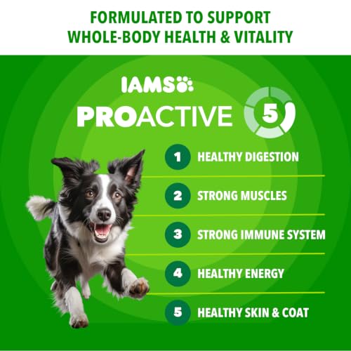 Image of IAMS Proactive Health Adult Minichunks Dry Dog Food, Beef & Rice, 38.5 lb