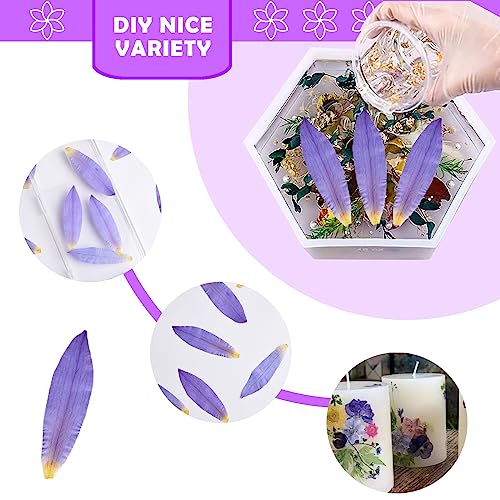 Pétalos secos naturales de flor de loto morados, 42 piezas miniatura 4