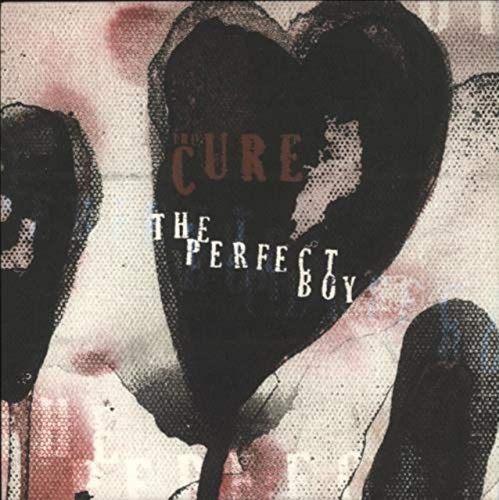  The Perfect Boy
