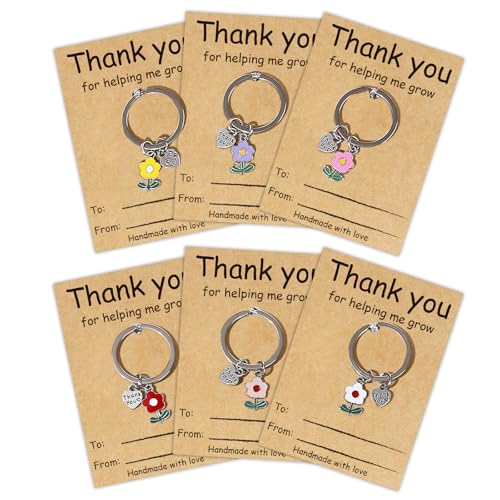VERKUUY 6Pcs Teacher Appreciation Keychains Gifts In Bulk, Daycare End of Year Kindergarten...