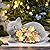 LEAESMHR Solar Cat Outdoor Statue, Resin Solar Cat Lights with Flower for Outside, Garden Cats Figurine for Lawn Porch Yard Art - Birthday Gifts for Mom Grandma Women