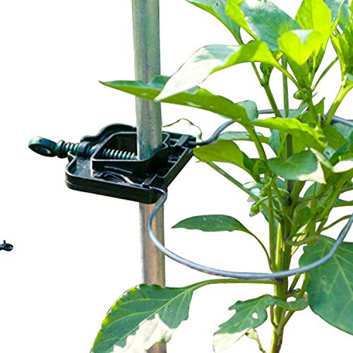 Preisvergleich Produktbild Bio Green Aufzuchtartikel Rankhilfe, Silber