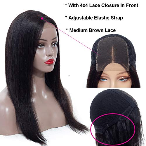 Funky girl Hair Lace Front Wigs Human Hair Brazilian Straight Virgin Hair Straight Wigs For Black Women 150% Destiny 12inch