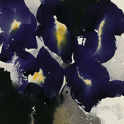 Iris Laevigata Toile Imprimée 40 x 40 cm David Ross tableau