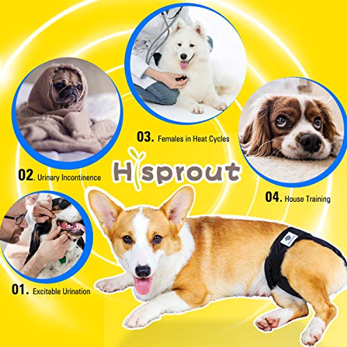 Image of Female Dog Diaper Reusable Washable Durable Absorbent Cloth Doggie Diapers Pants-Butterfly and Toucan M