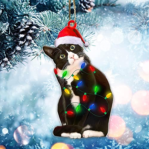 Crazytops Black Cat Christmas Ornament - Black Cat Xmas Decor Tree Hanging - 2022 Christmas Ornament - Mica Plastic 02 Side Printed (Black Cat 9)