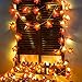 TURNMEON 2 Pack Thanksgiving Decorations Enlarged Maples Leafed Fall Decorations for Home Fall Lights Thick Leafs Garlands, Total 20Ft 40LED Battery Operated Waterproof Halloween Decor Indoor Outdoor