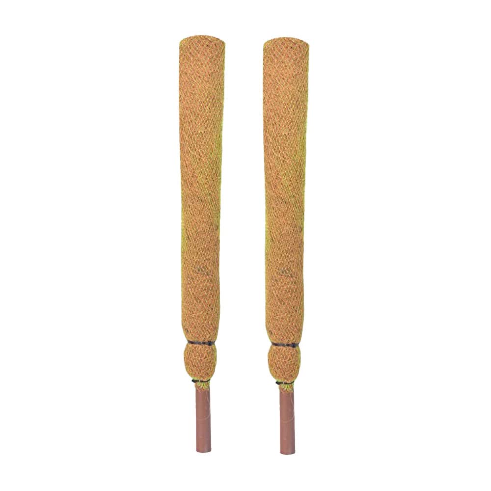 See full amazon price history chart for Generic Moss Stick 4 Feet Coco Pole for Climbing Indoor & Outdoor Plants Green Grass Pole for HOUSING Plants, Creeper Support Moss Stick (Pack of 2) Generic Moss Stick 4 Feet Coco Pole for Climbing Indoor & Outdoor Plants Green Grass Pole for HOUSING Plants, Creeper Support Moss Stick (Pack of 2) (B0BP2G86BW) Amazon Price History, Amazon Price Tracker